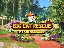 Big Cat Rescue Megaways DNT