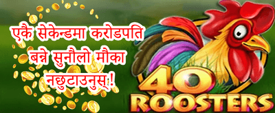 दैनिक रिलोड बोनस promotion